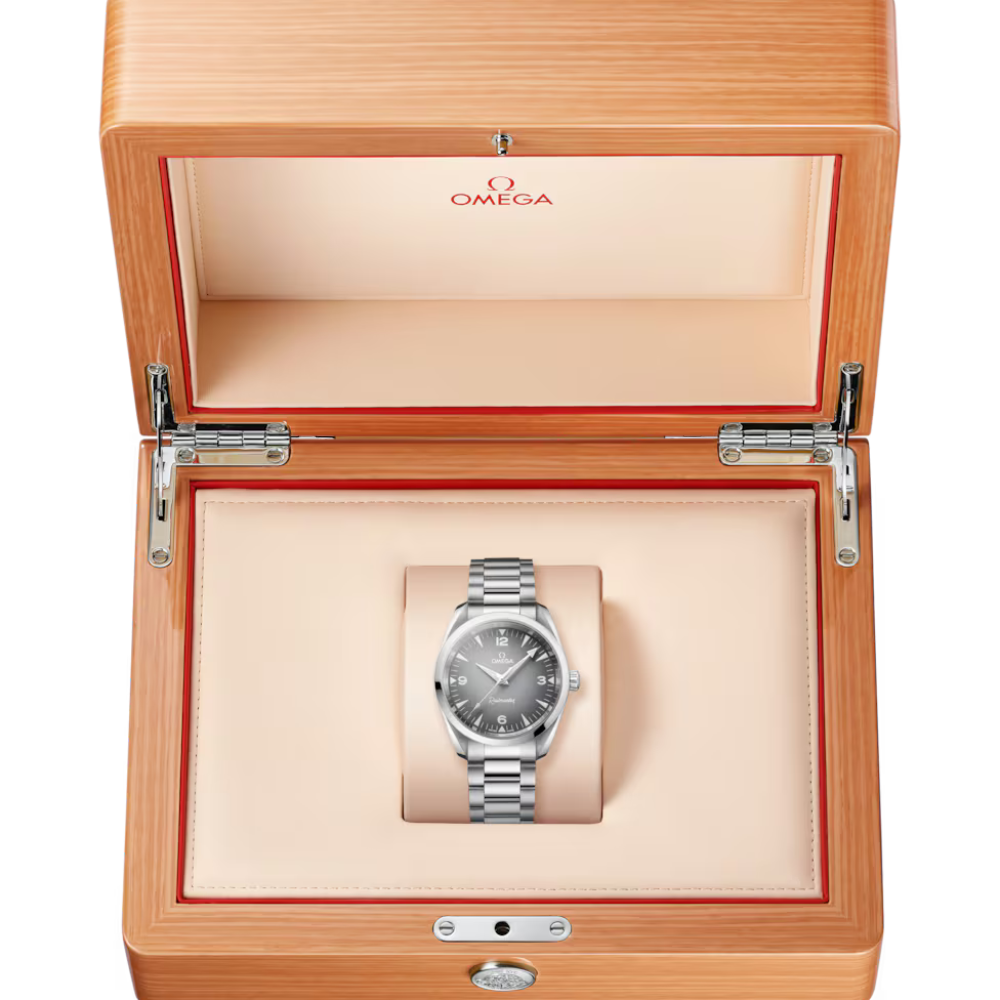 OMEGA Seamaster Railmaster 235.10.38.20.06.001