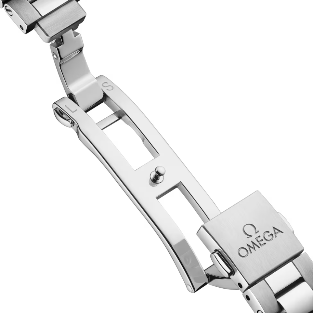 OMEGA Seamaster Railmaster 235.10.38.20.13.001