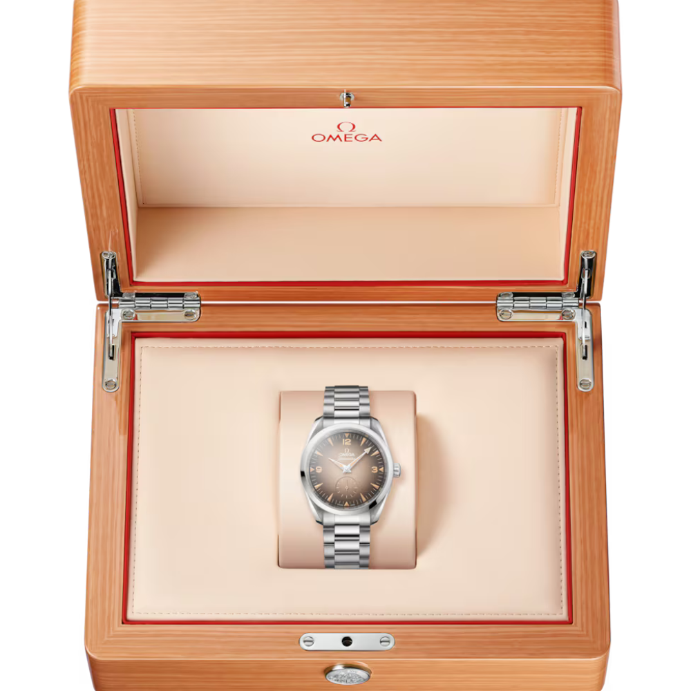 OMEGA Seamaster Railmaster 235.10.38.20.13.001