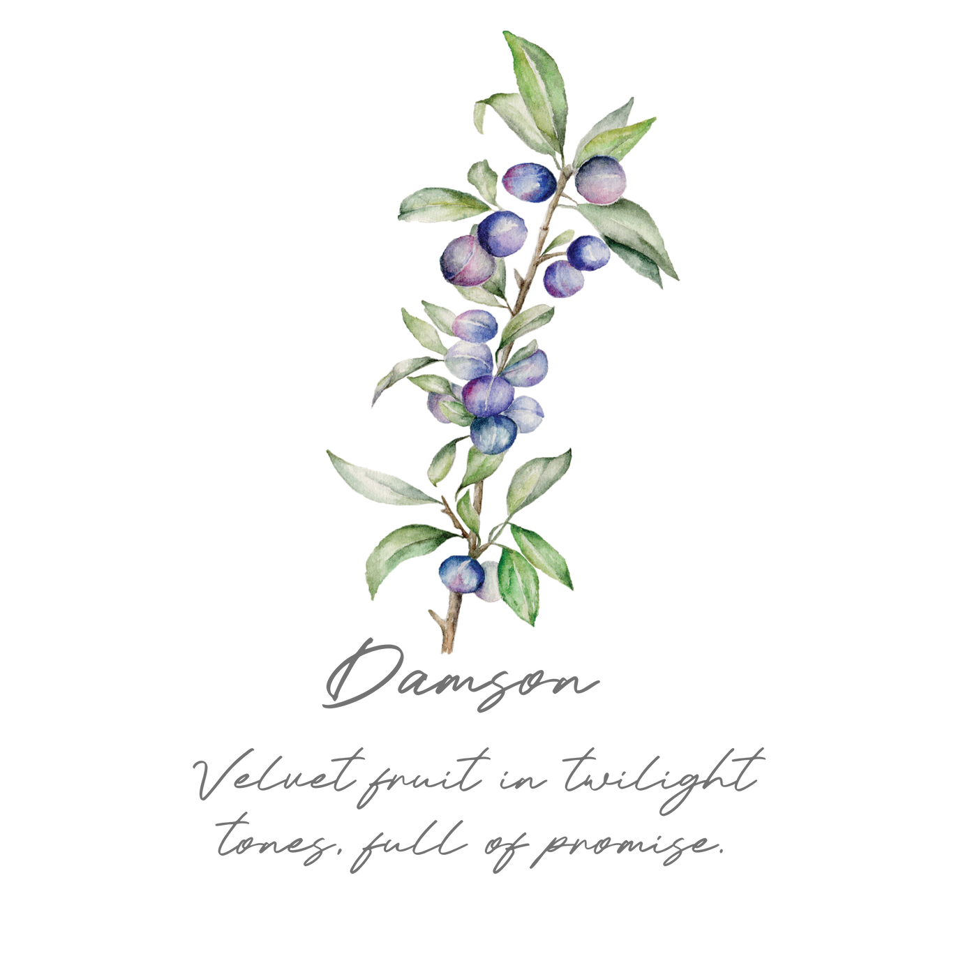 Damson Indicolite and Rubellite Ring