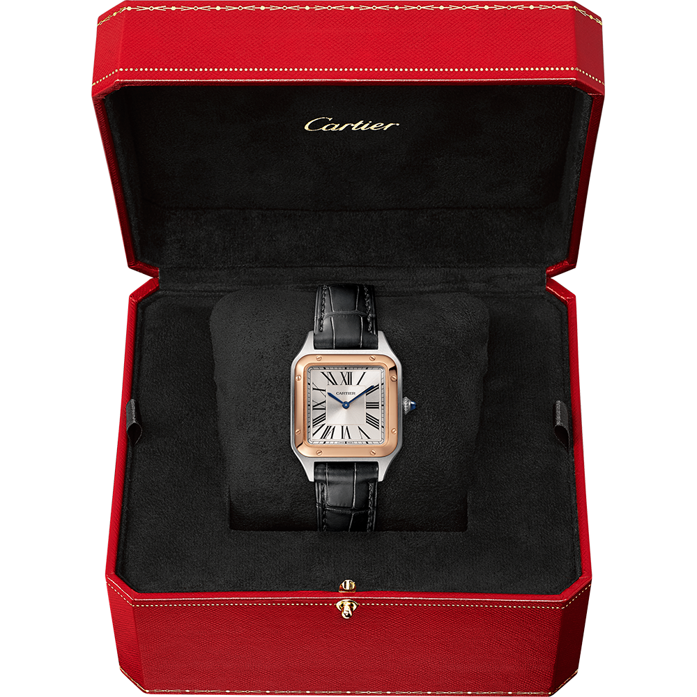 Cartier Santos-Dumont W2SA0012