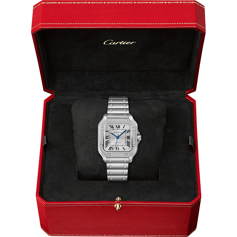 Cartier Santos de Cartier W4SA0005