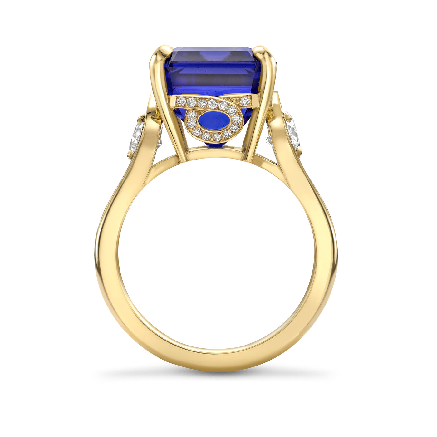 Midnight Willow Tanzanite and Diamond Ring