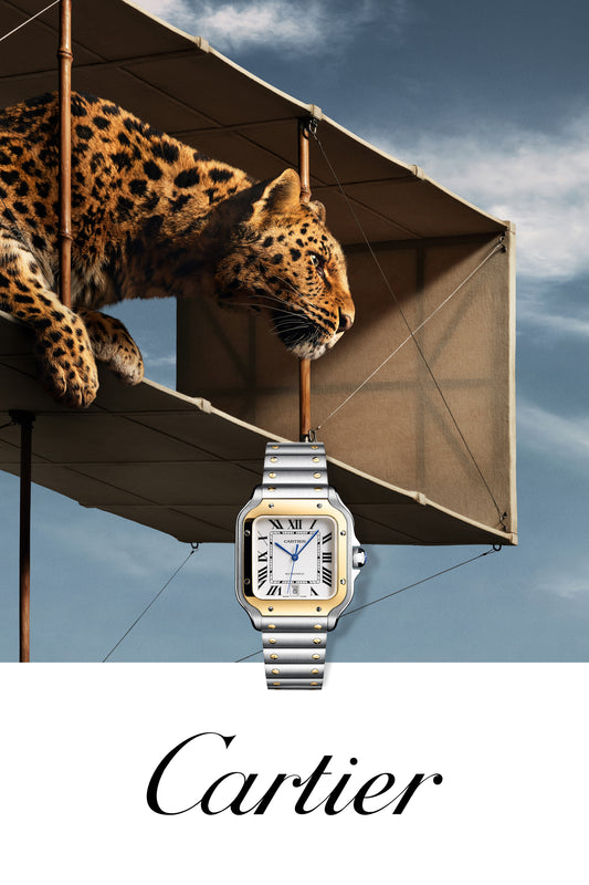 PUWA11658 Santos Gold Steel 2560x3840 W2SA0009