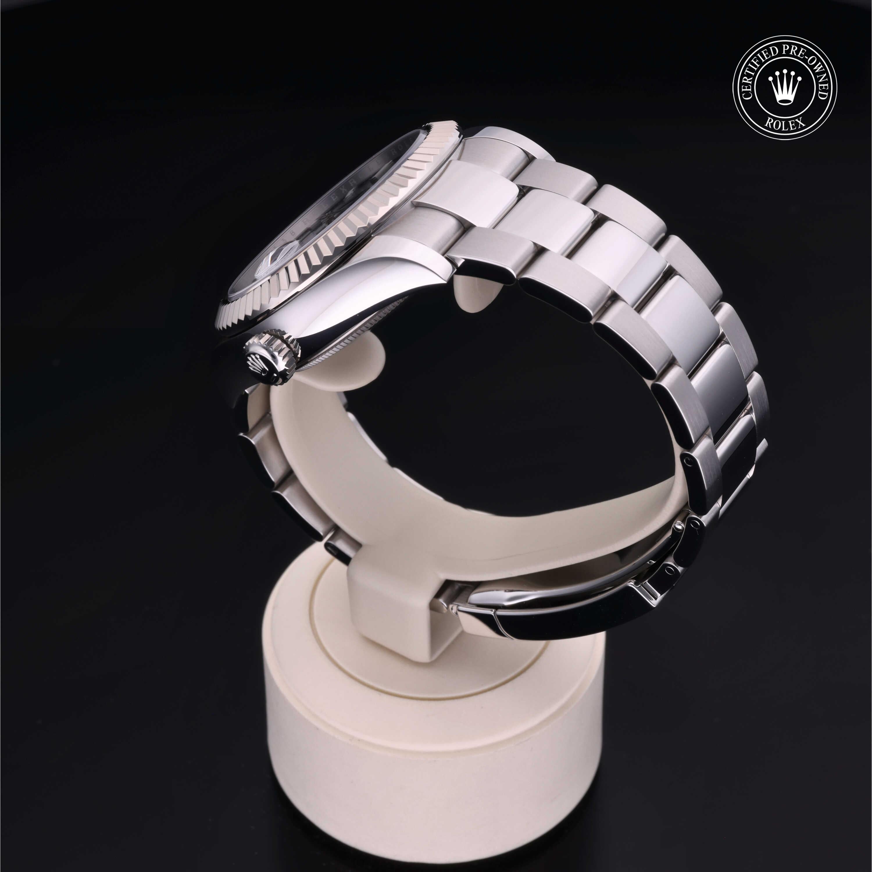 Sky-Dweller 360 image 13