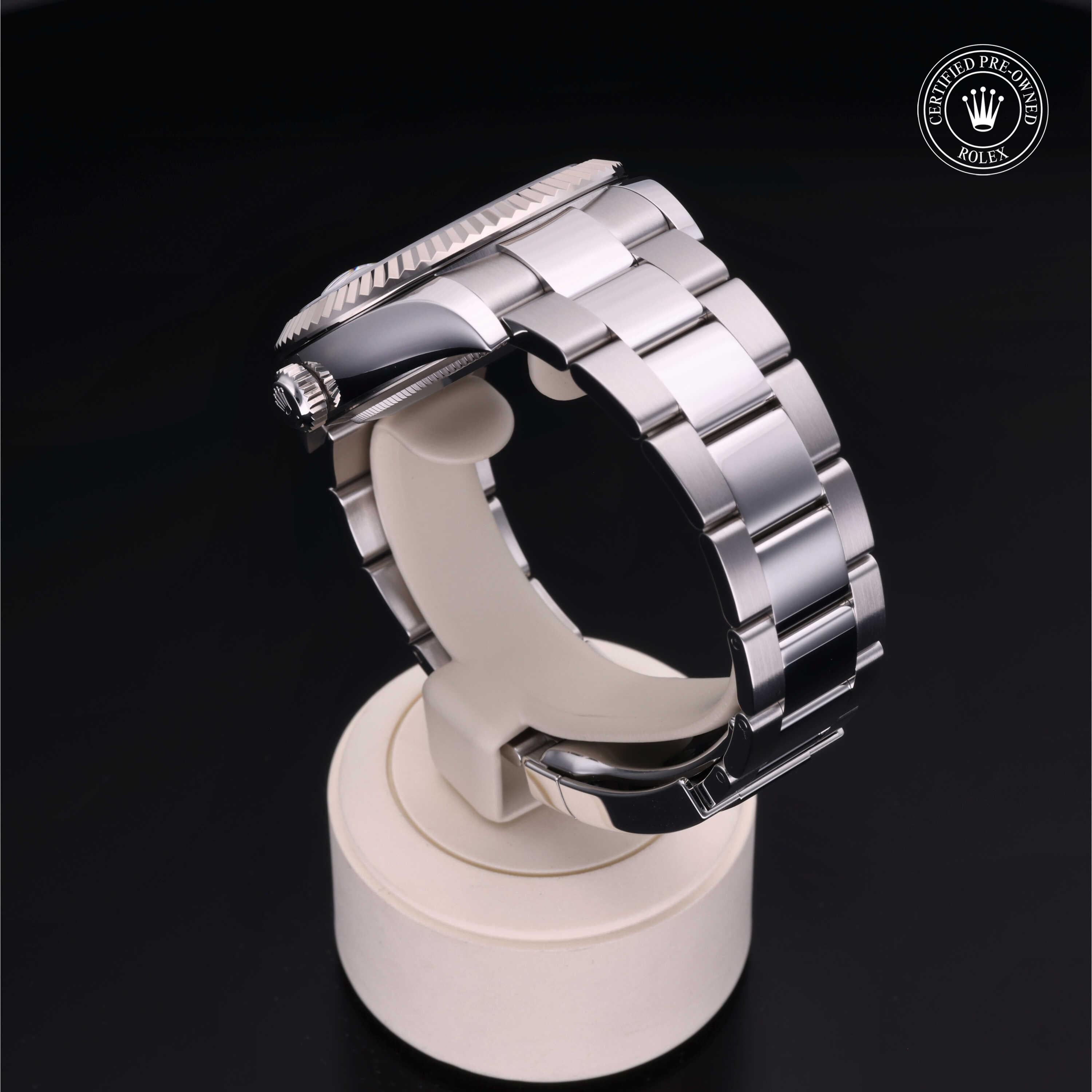 Sky-Dweller 360 image 15