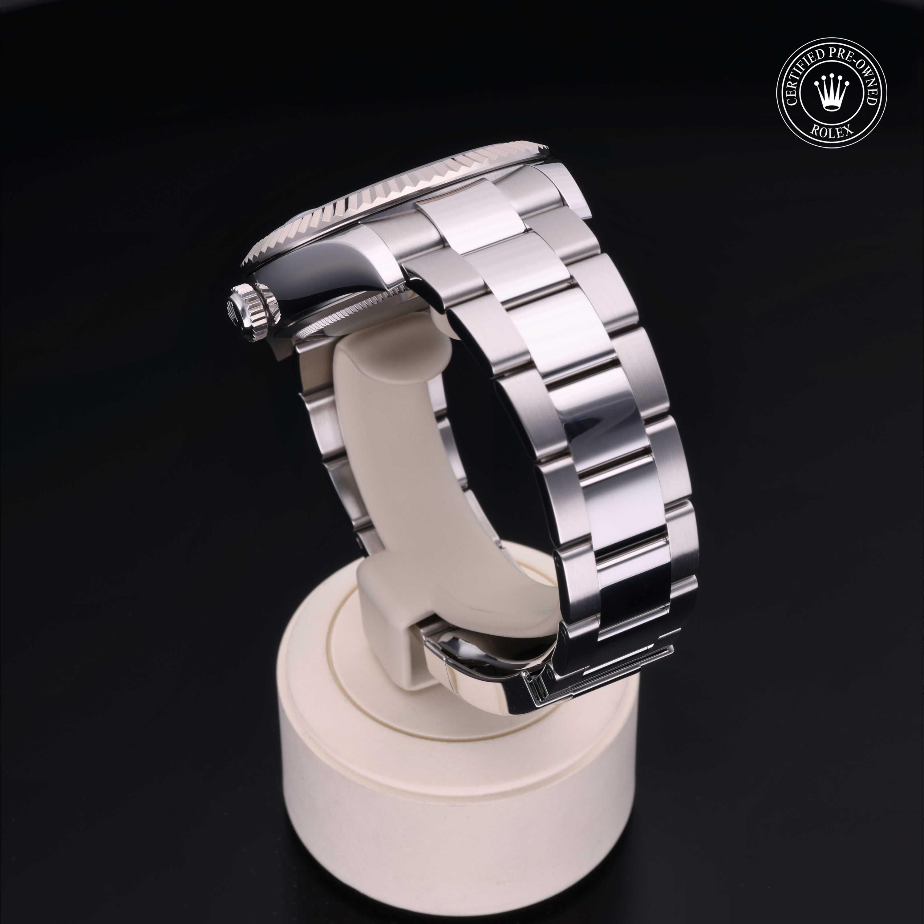 Sky-Dweller 360 image 16