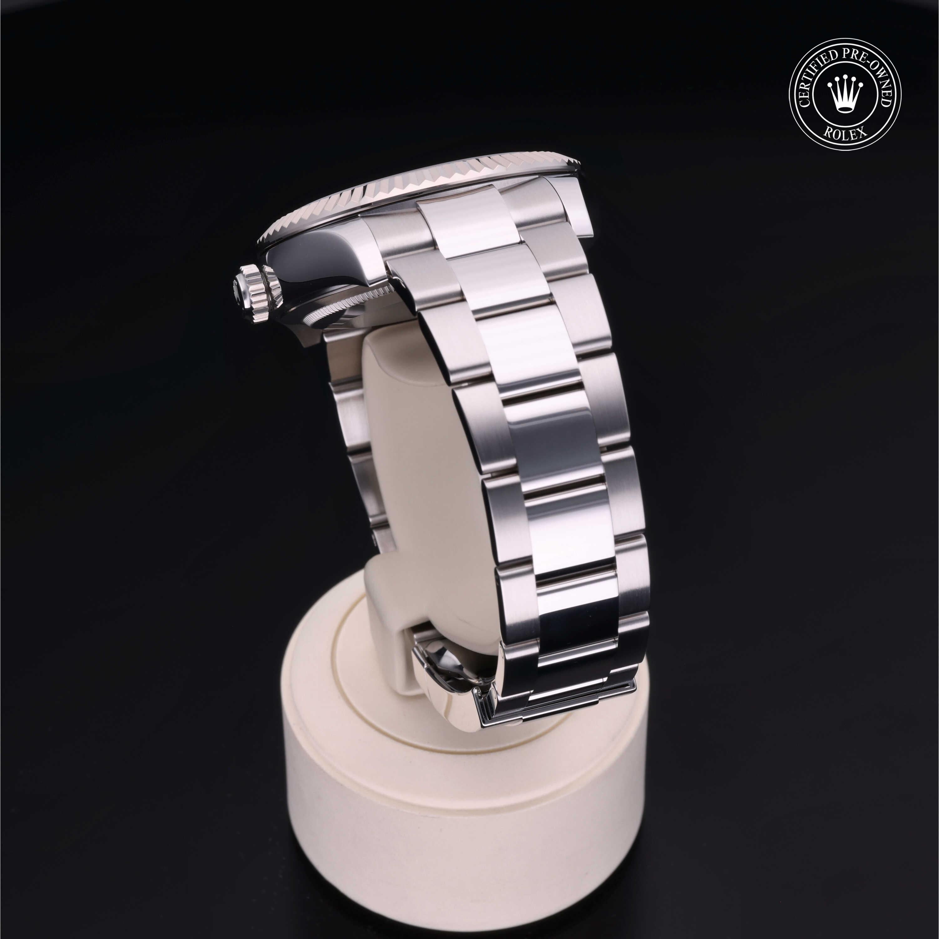 Sky-Dweller 360 image 17