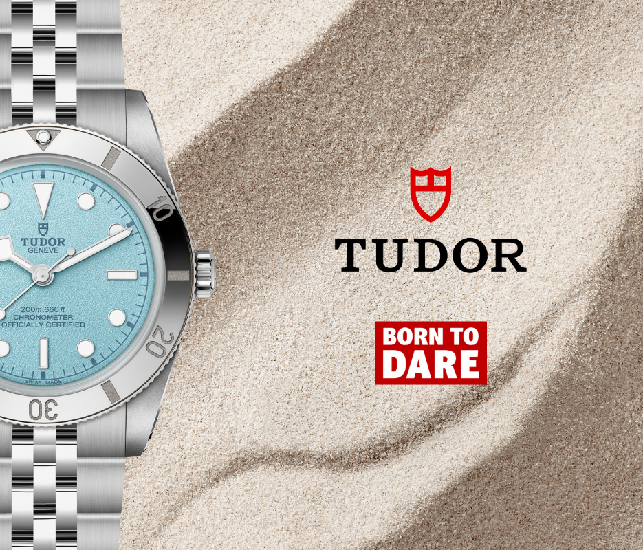 Tudor banner 1