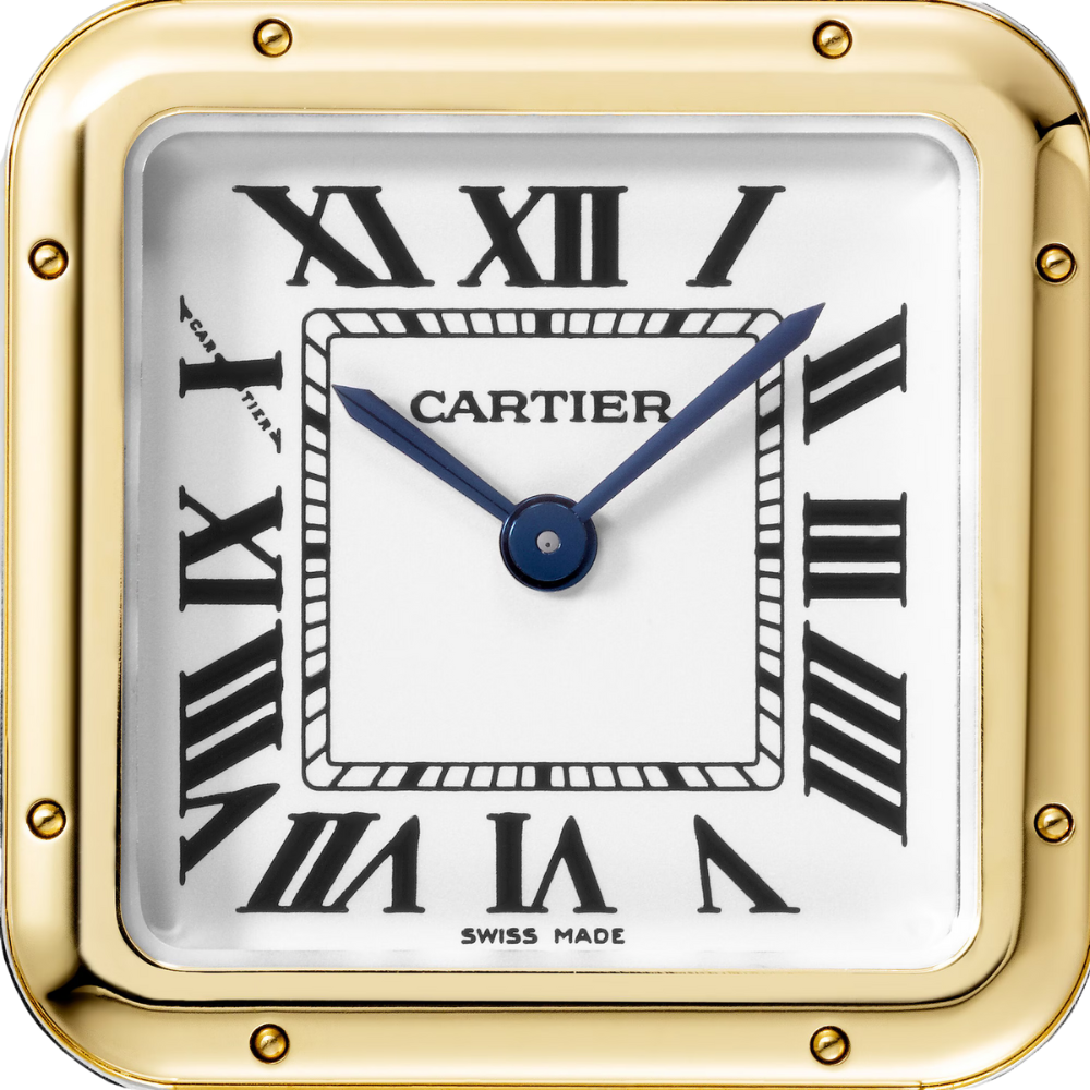 Cartier Panthère de Cartier Medium W2PN0014