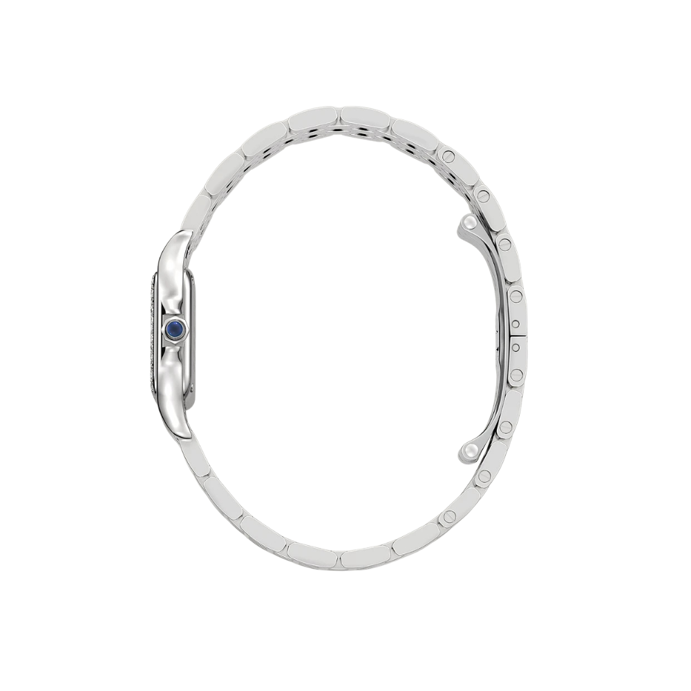Cartier Panthère de Cartier Small W4PN0016