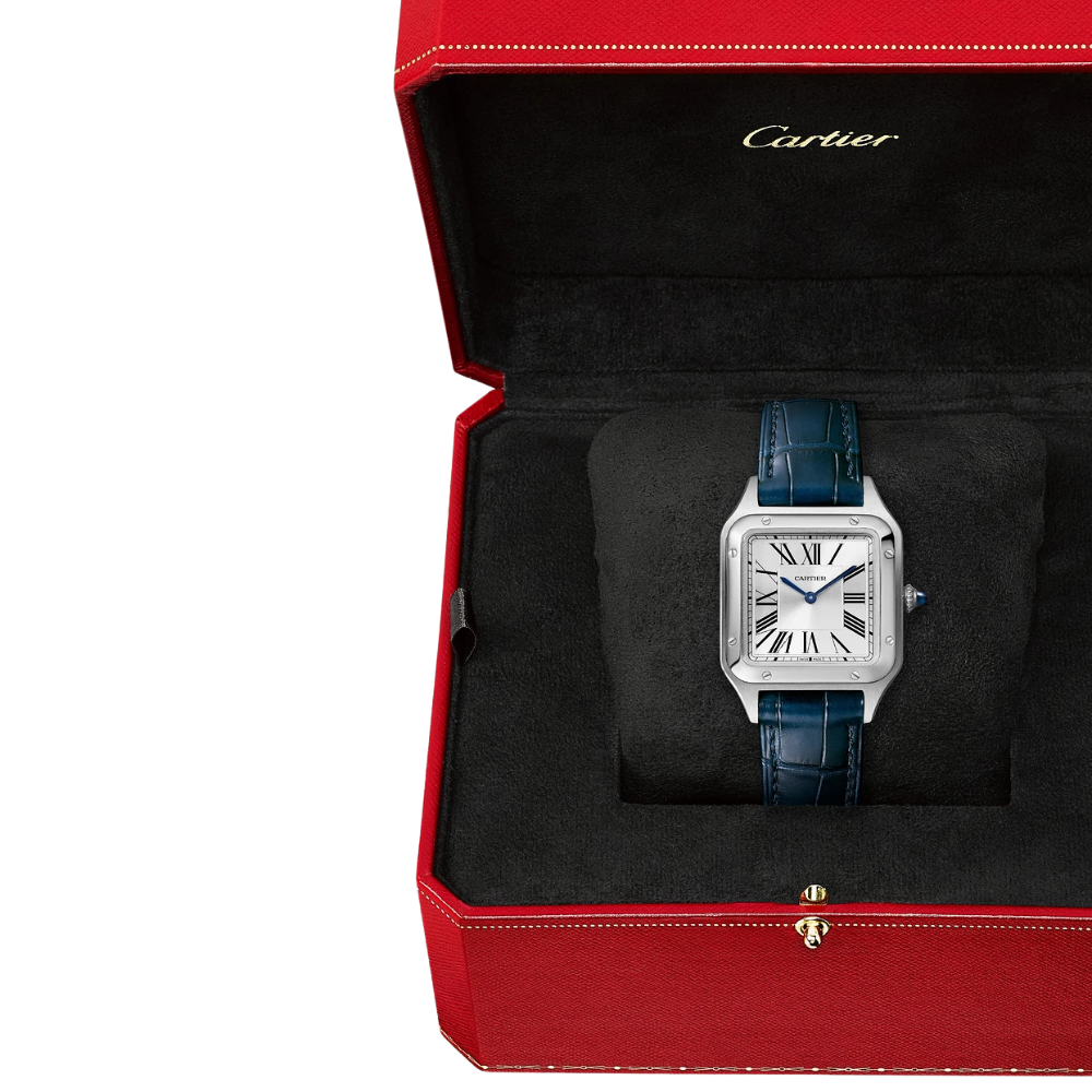 Cartier Santos-Dumont Small WSSA0086