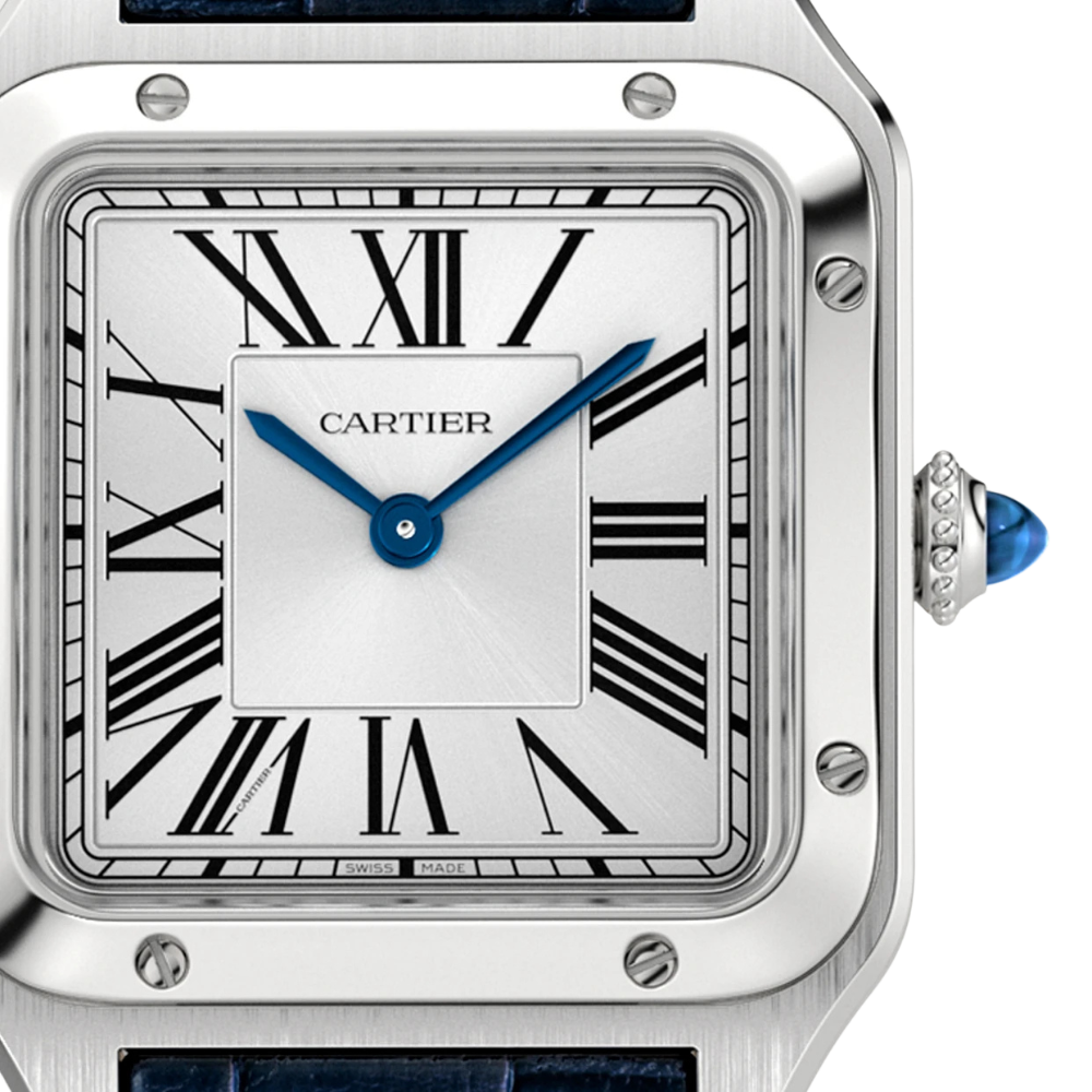 Cartier Santos-Dumont Small WSSA0086