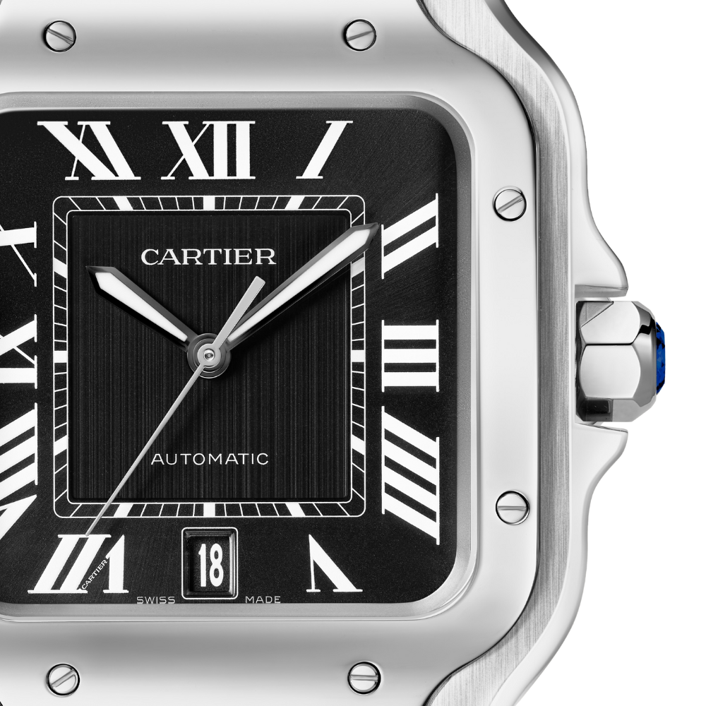 Cartier Santos De Cartier Large Watch WSSA0096