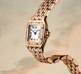 Watch Drop Down October 2026