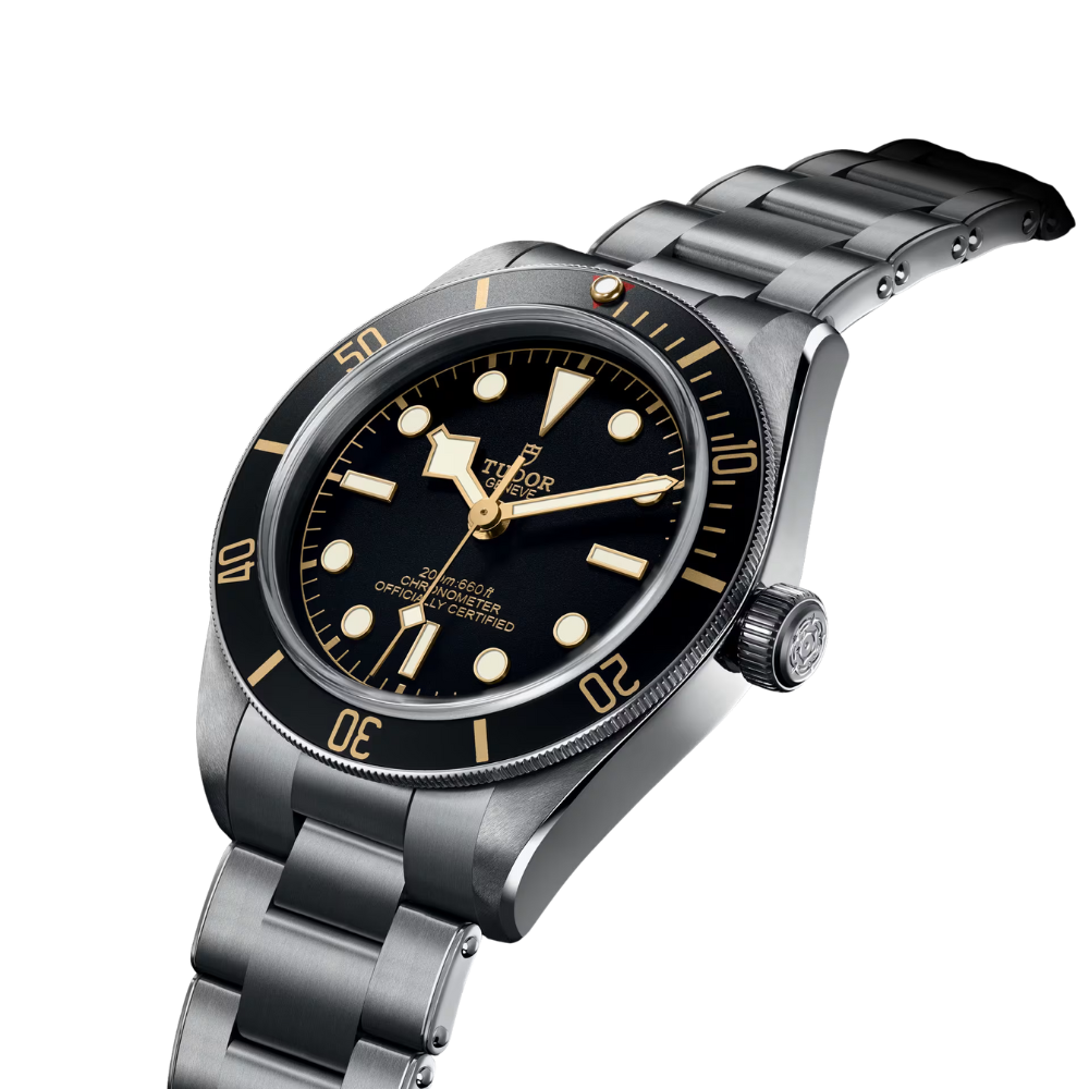 TUDOR Black Bay 58 M79030N-0001