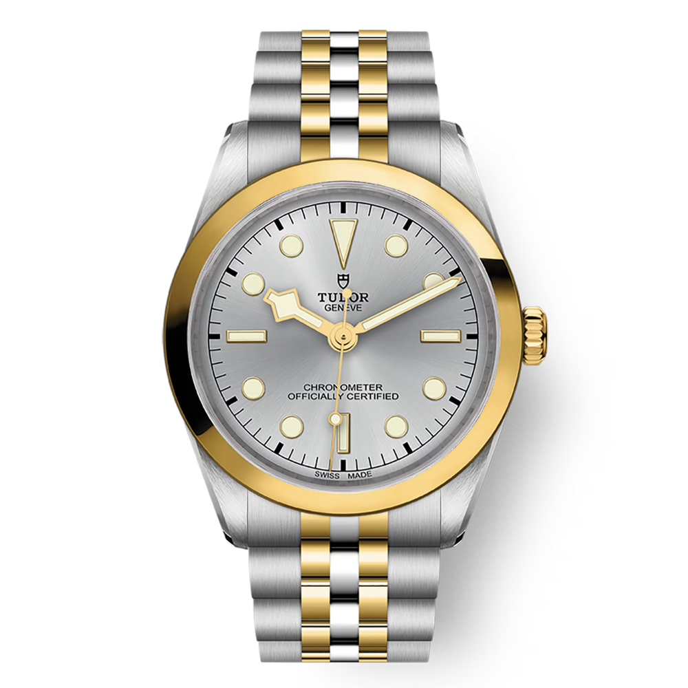 TUDOR Black Bay 36 S&G  M79643-0002