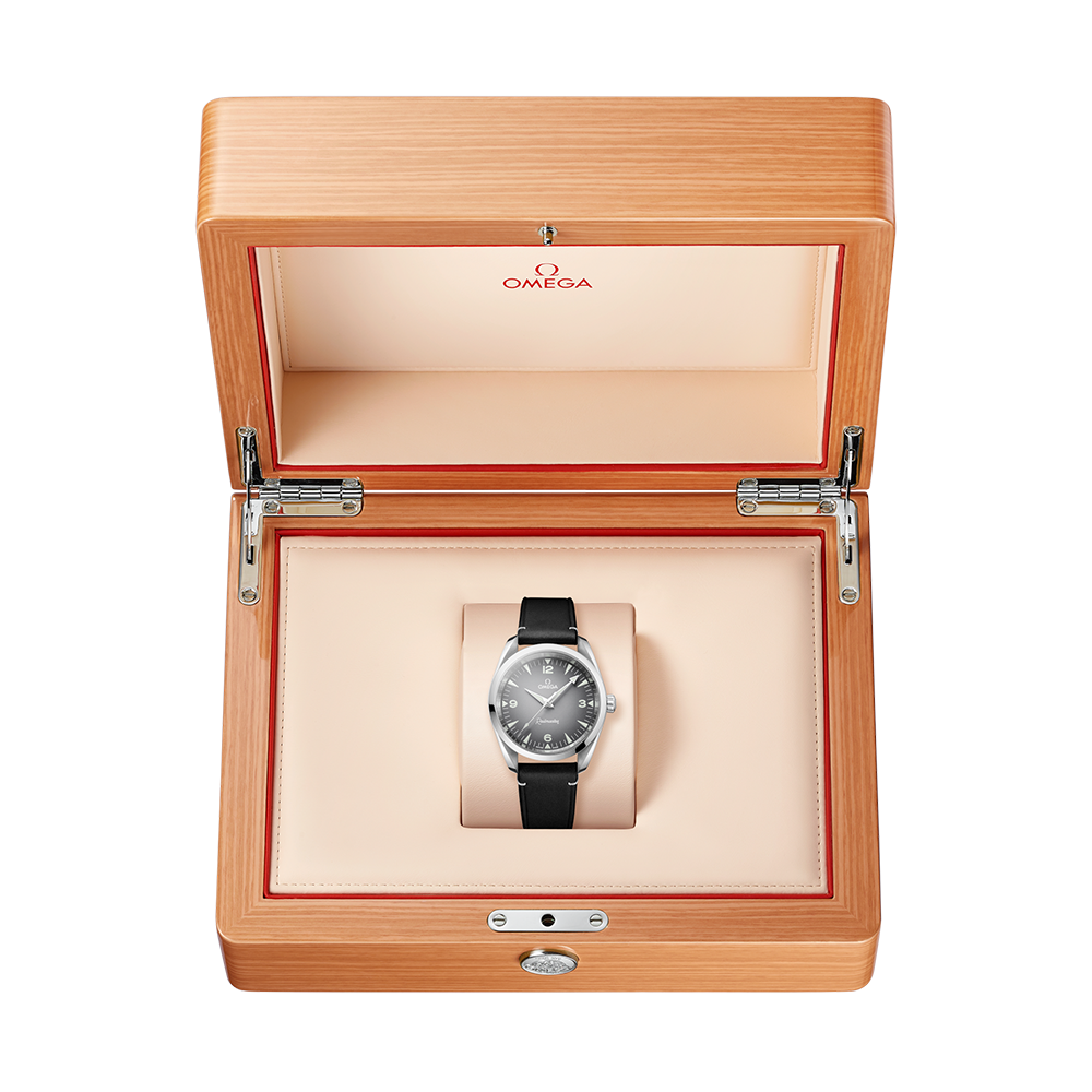 OMEGA Seamaster Railmaster 235.12.38.20.06.001